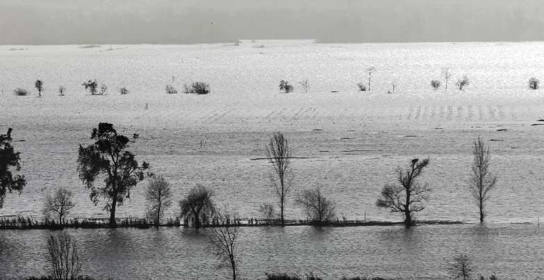 mondego.PNG mondego.PNG