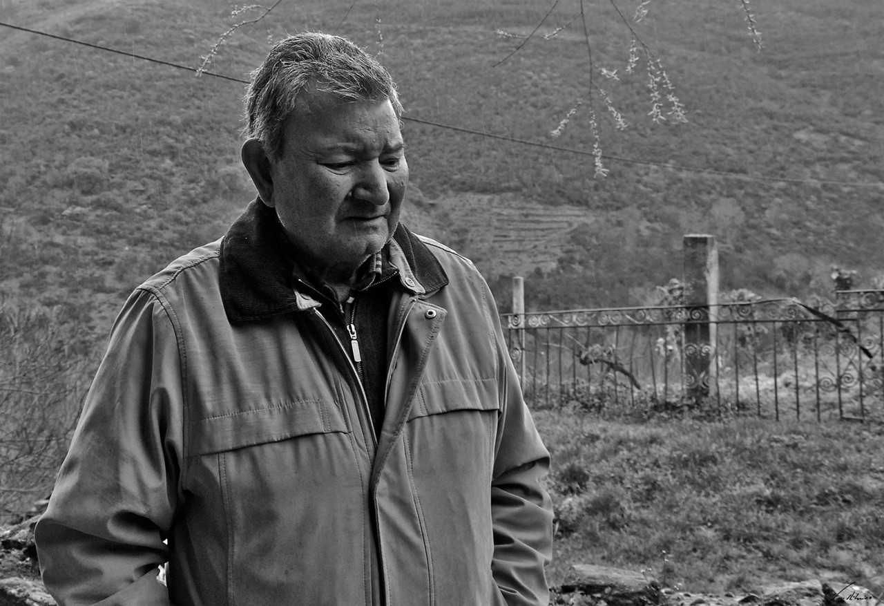 1600-report-1dia (69).jpg