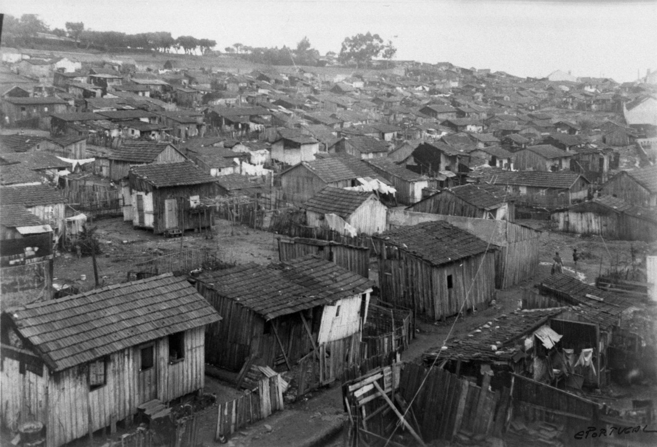 5-foto 5 -bairro_das_minhocas_rego.jpg