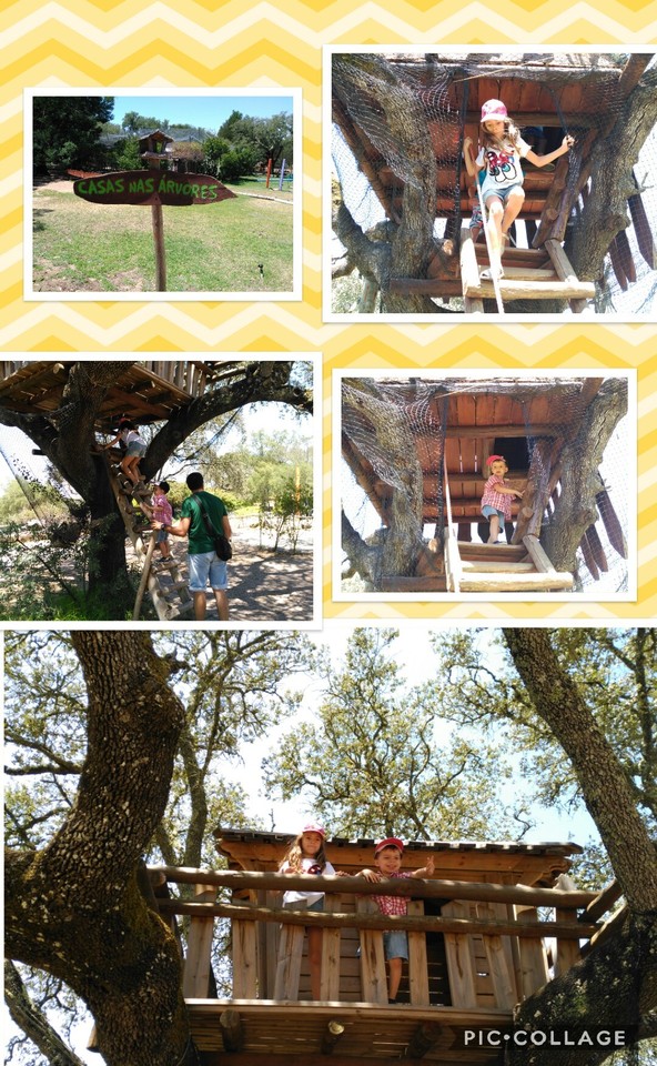 Collage 2017-07-22 22_59_58.jpg Collage 2017-07-22 22_59_58.jpg