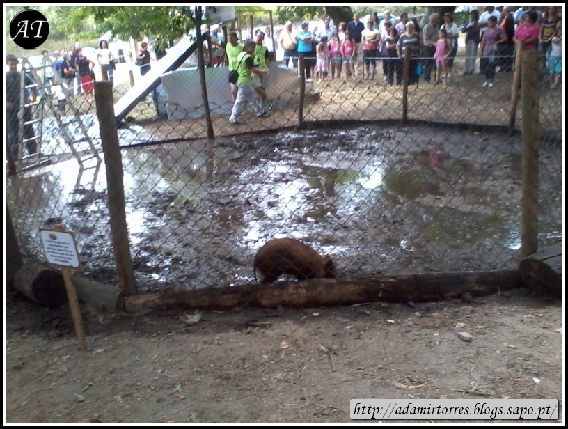 Jogos Tradicionais 2012 - 004