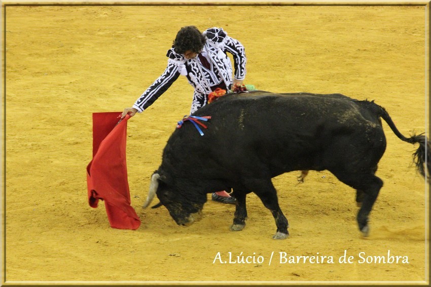 IMG_6690.JPG IMG_6690.JPG