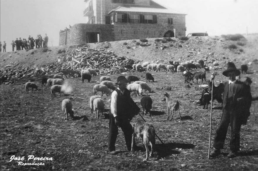 11200761_1236372249813547_5593400434505889192_n.jp