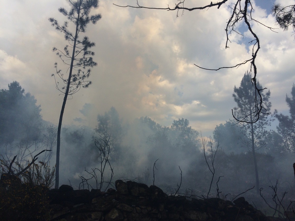 imgpsh_fullsize (5).jpg