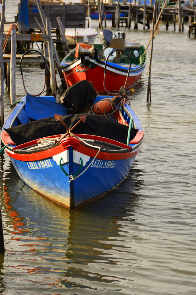 DSC_2906_01_00003.jpg DSC_2906_01_00003.jpg