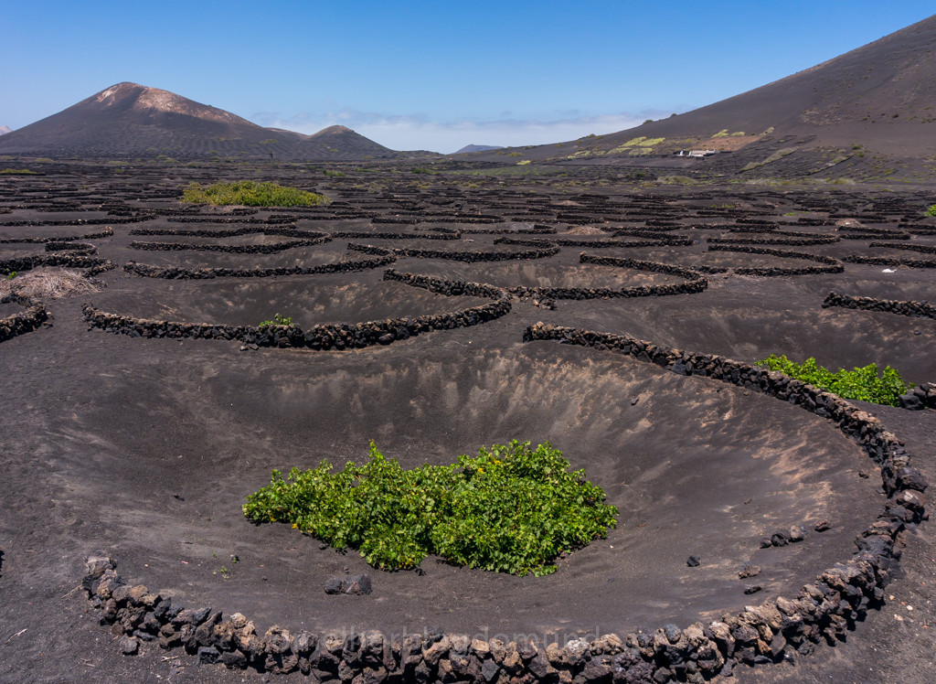 _DSC7525.jpg _DSC7525.jpg