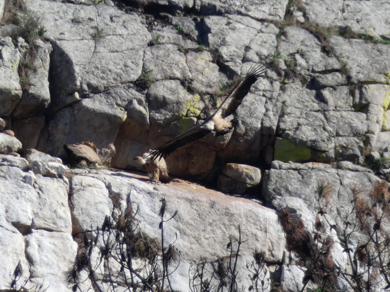 Conhal (21).jpeg Conhal (21).jpeg