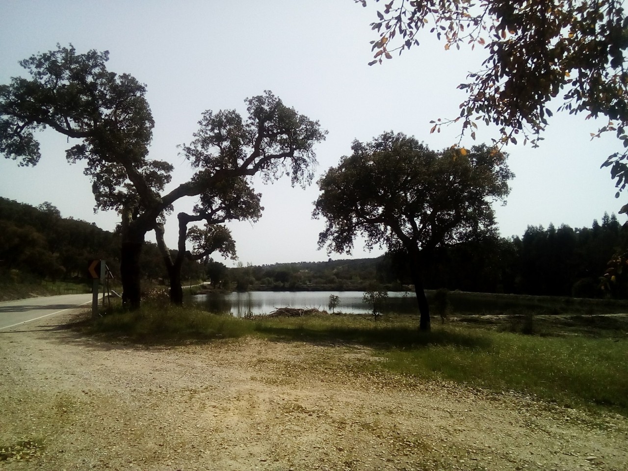 31179884_10211384670400638_5947188472572805120_o.j 31179884_10211384670400638_5947188472572805120_o.j