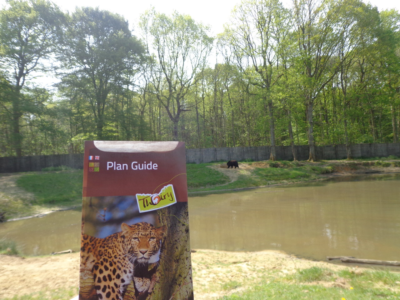 DSC09367.JPG DSC09367.JPG