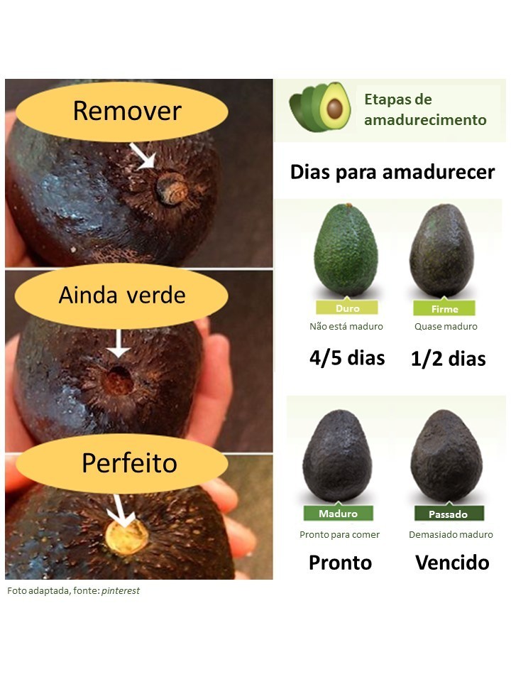 11-de-fevereiro-de-2020-caderno-de-receitas