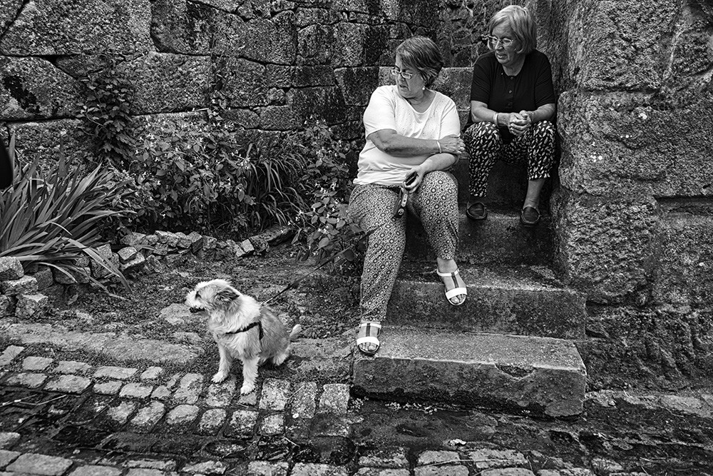 DSCF7713 - Cópia.jpg