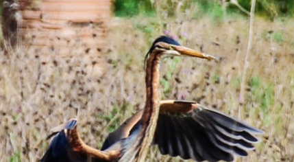 Captura de ecrã 2022-04-18, às 14.15.37.png