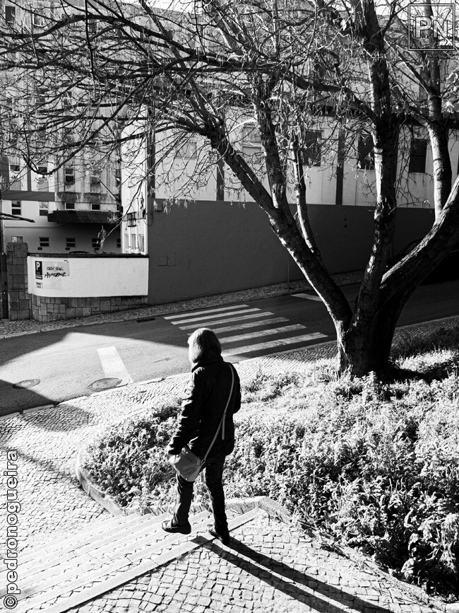 Jan_2023_004 650px.jpg