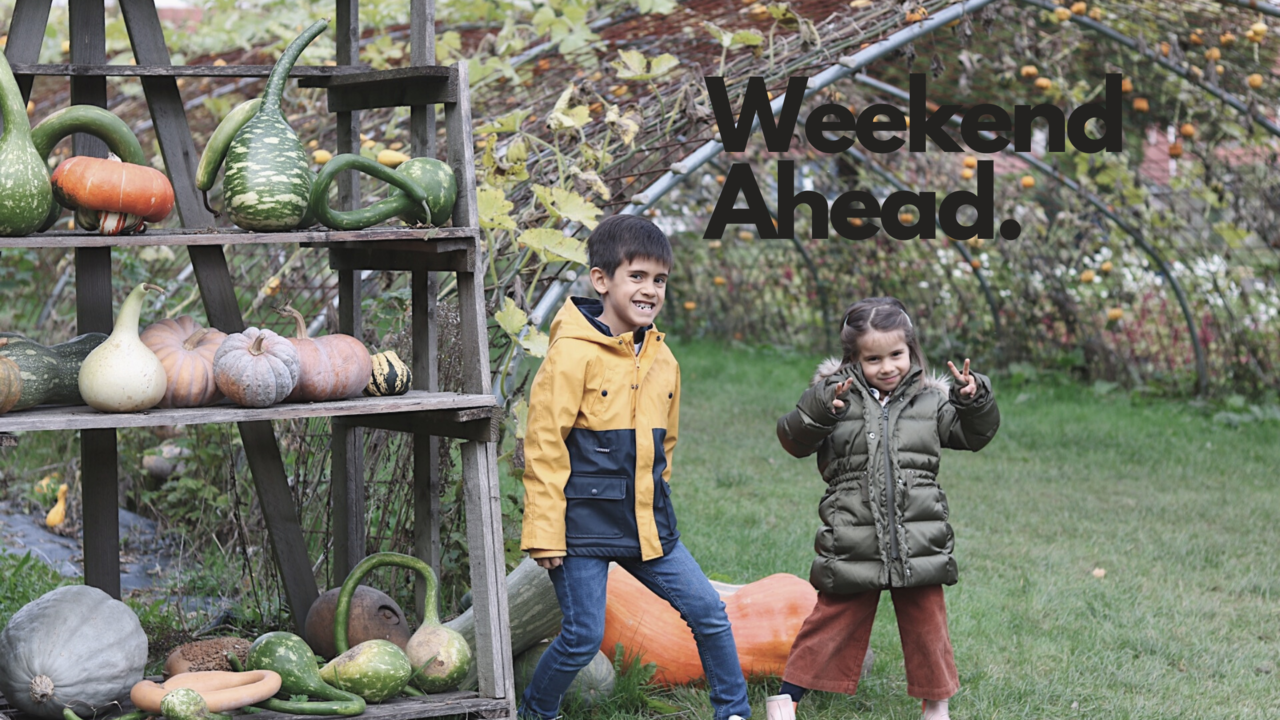 confinamento belgica, pandemia e covid-19 confinamento belgica, pandemia e covid-19