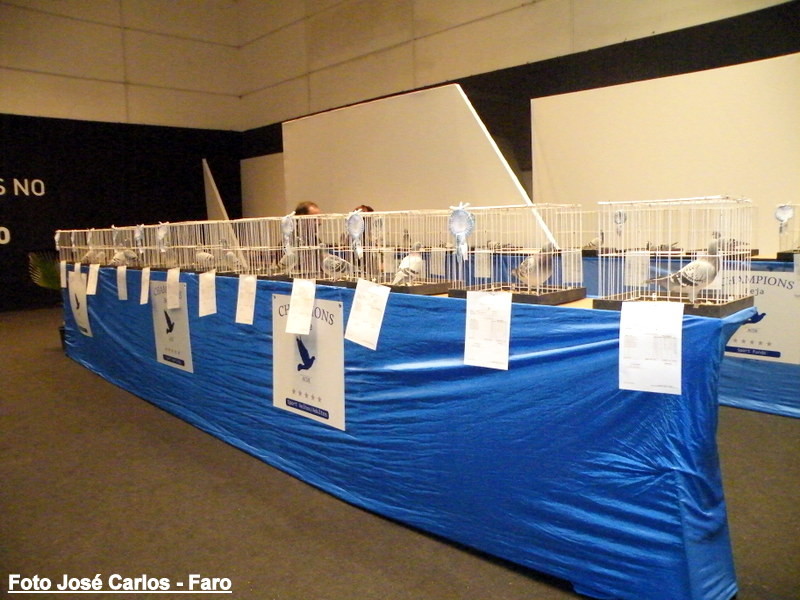 Feira Ibérica Beja 2018 056.JPG Feira Ibérica Beja 2018 056.JPG