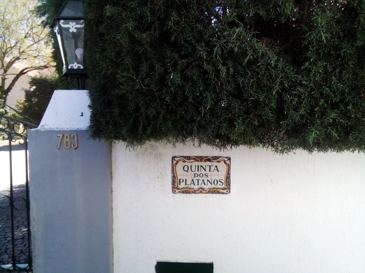 IMG_20190327_114616.jpg IMG_20190327_114616.jpg