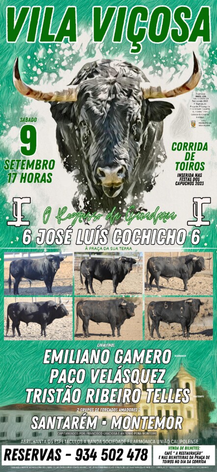 Montra Redes Sociais.jpg