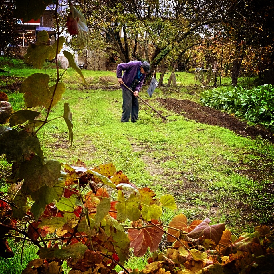 IMG_2884 - cópia.jpeg