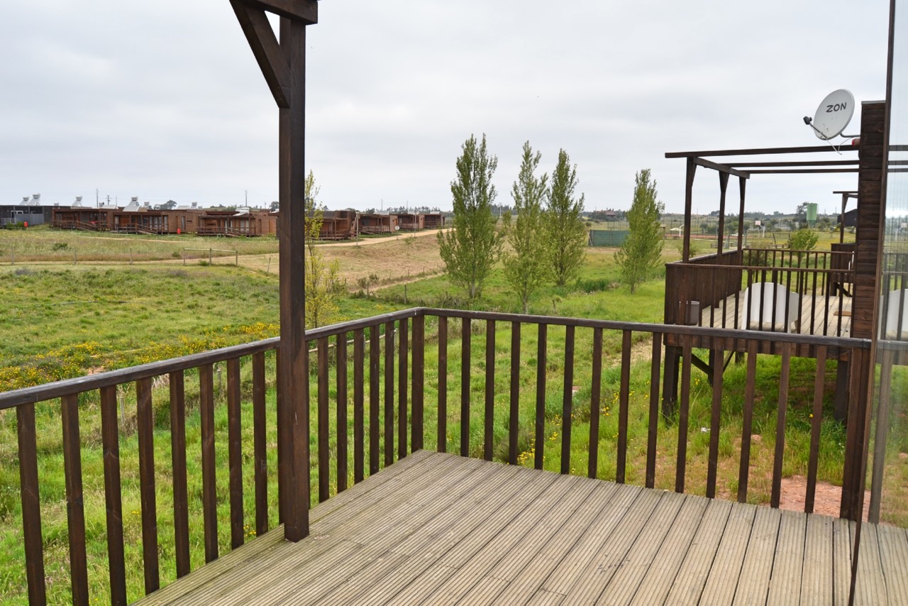 Zmar14.jpg Zmar14.jpg