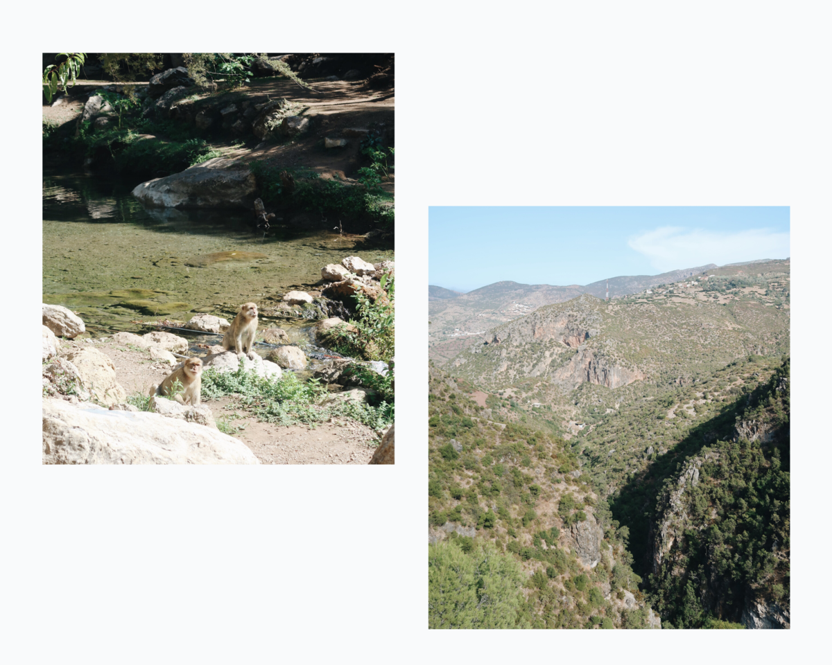 CHEFCHAOUEN (1).png CHEFCHAOUEN (1).png