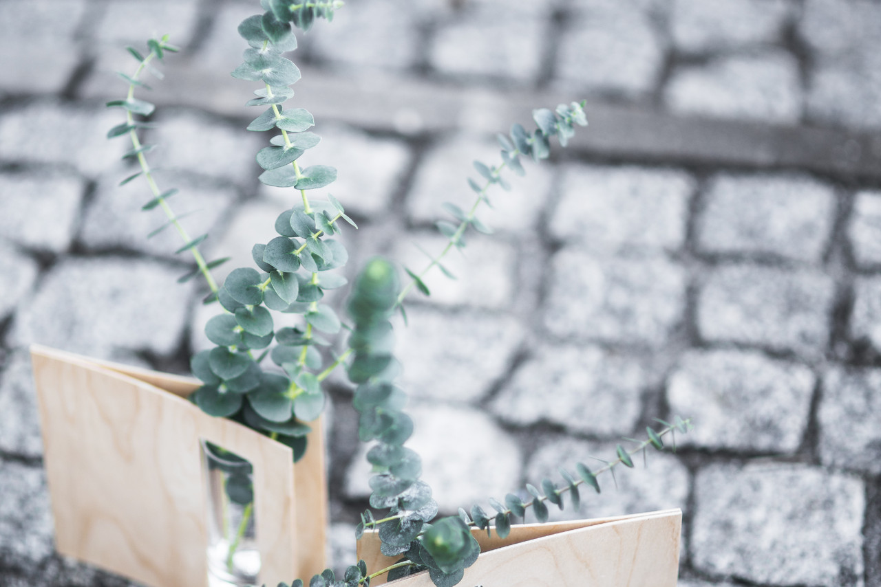kaboompics.com_Minimal eucalyptus arrangement.jpg kaboompics.com_Minimal eucalyptus arrangement.jpg