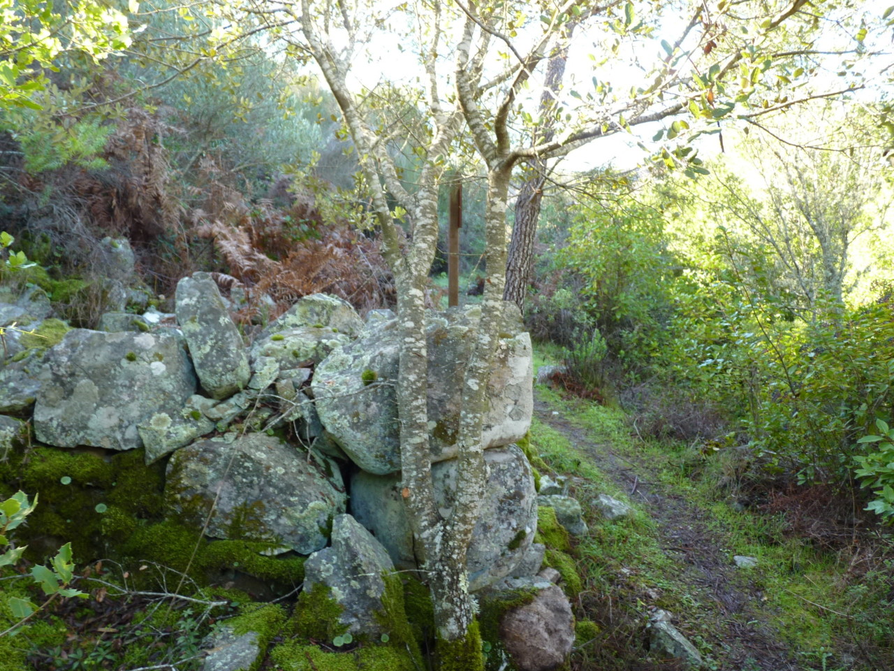 Trilho da mina de ouro do Conhal - Abrigo do Pesca