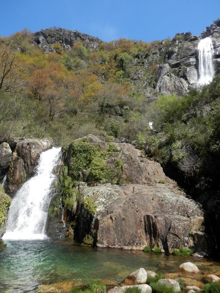 13094394_1171736632837926_1950832770626264375_n.jp