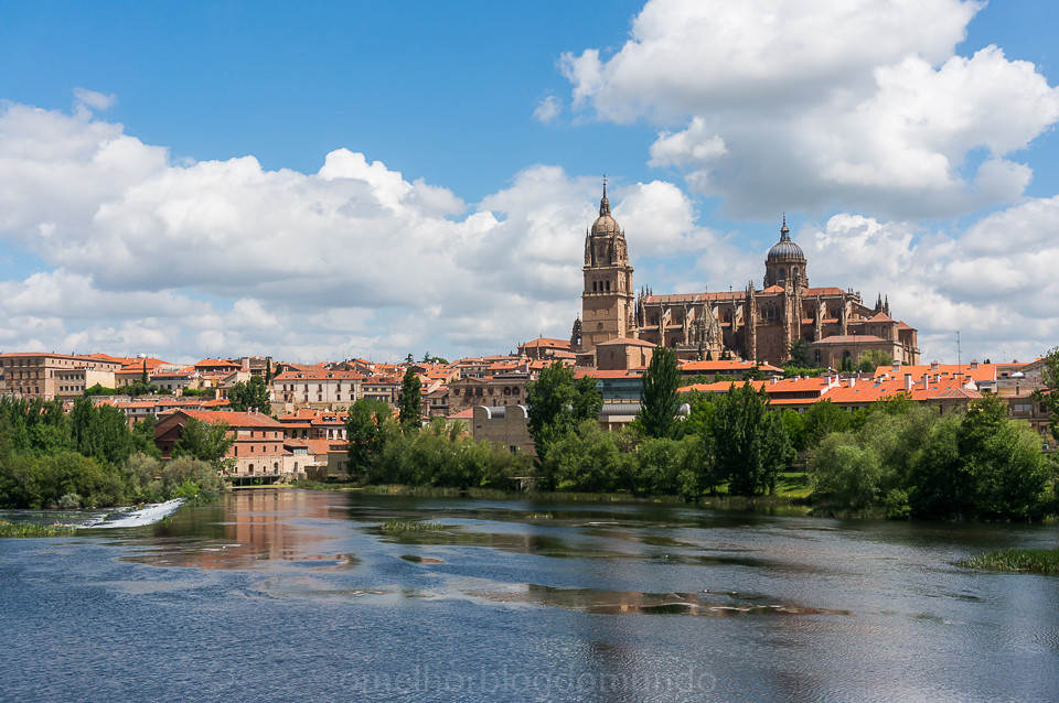 DSC02964.jpg DSC02964.jpg