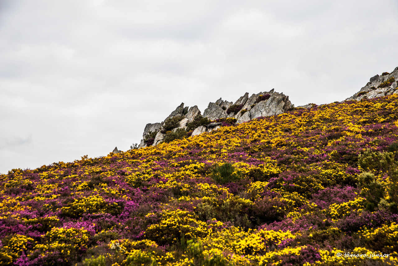 2015 - S. Pdro do Sul (Termas+Manhouce+Pena) (254)