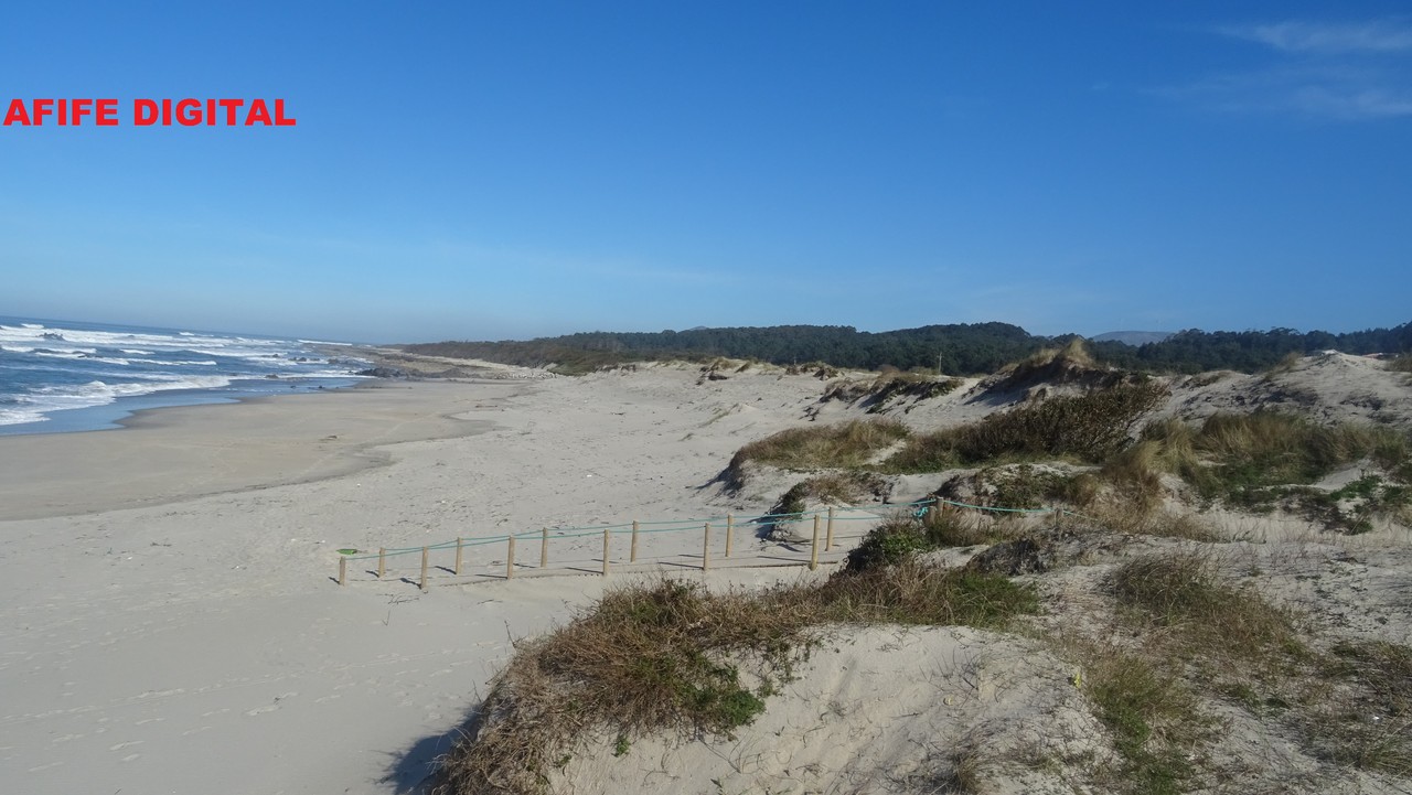 DSC04151.JPG DSC04151.JPG