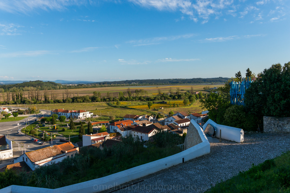 DSC01441.jpg DSC01441.jpg