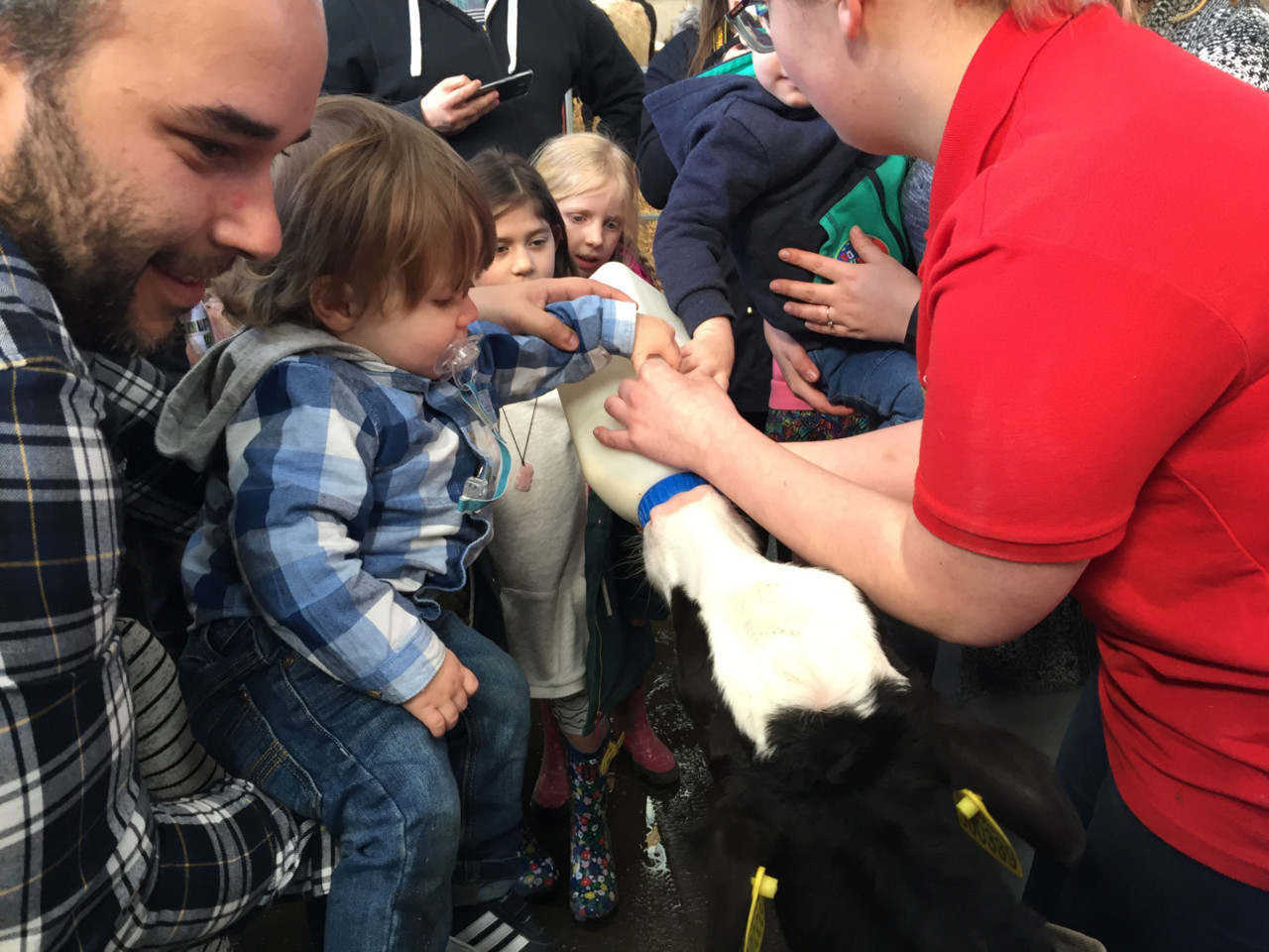 20170326_135148324_ios.jpg 20170326_135148324_ios.jpg