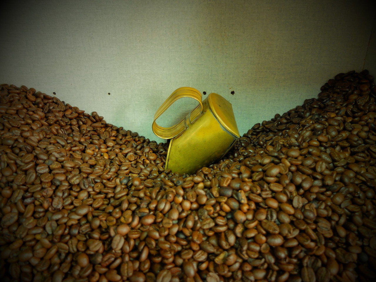 DSCF6501.JPG DSCF6501.JPG