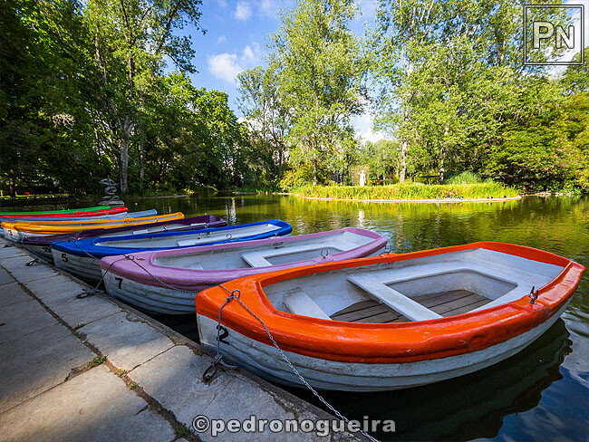 Mai_2023_048 650px.jpg