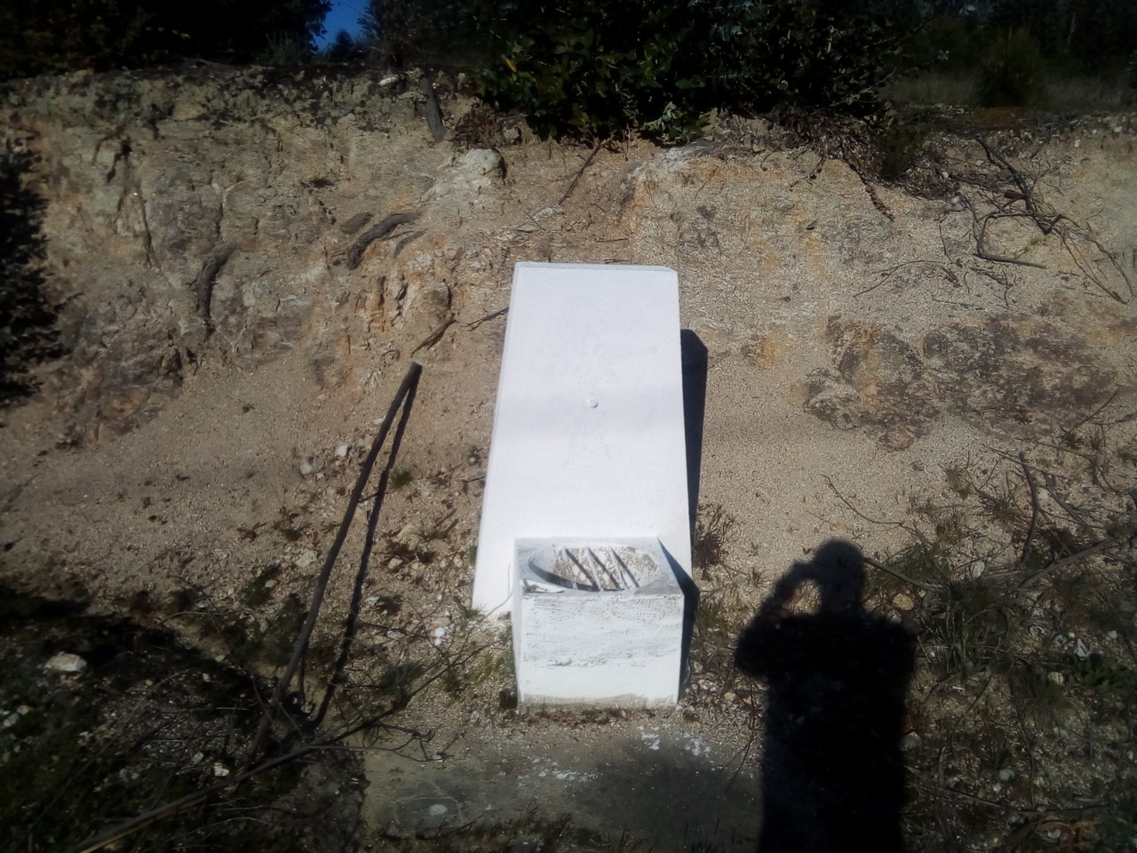 IMG_20190322_165538.jpg IMG_20190322_165538.jpg