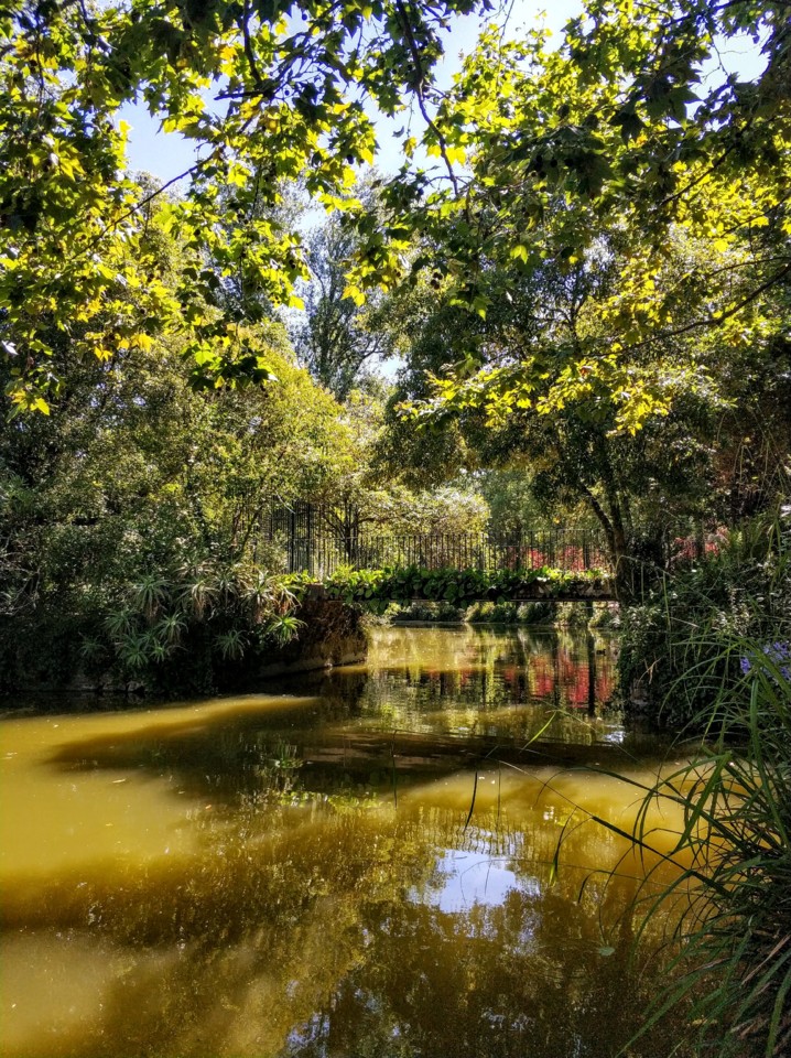 Parque Dom Carlos I.jpeg