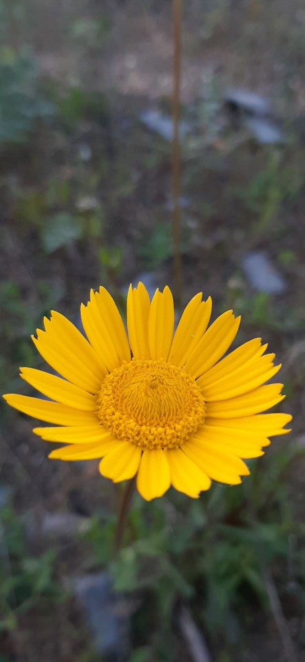 20210319_181209.jpg 20210319_181209.jpg