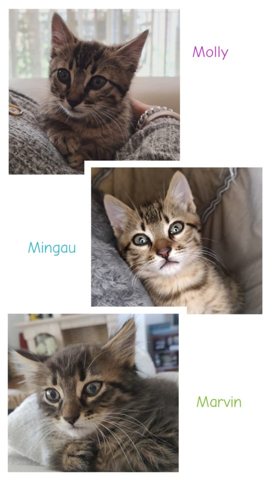 projeto.jpg projeto.jpg