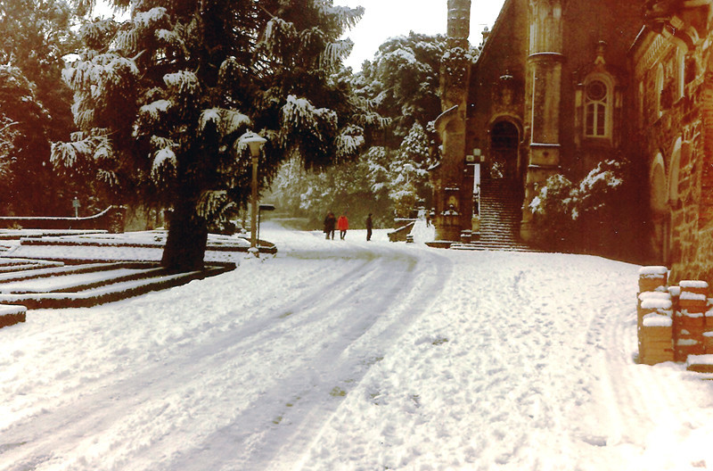 buçaco neve1.jpg