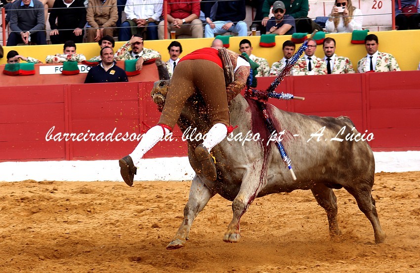 forc ap chamusca 1.JPG