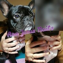 12745960_1140833579269409_3370045274470094423_n.jp 12745960_1140833579269409_3370045274470094423_n.jp