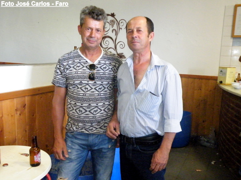 Leilão Ervidel 009.JPG