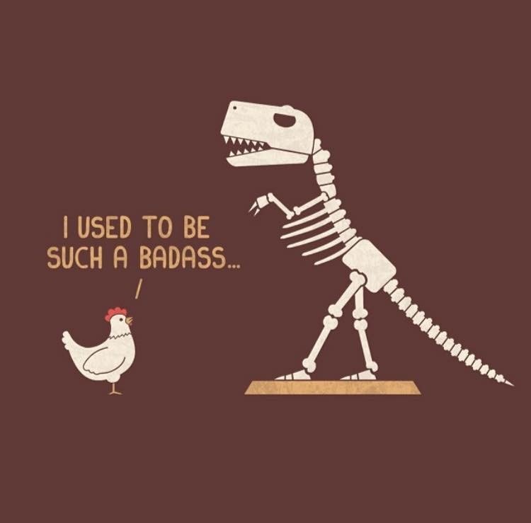 26219679_1826642607359739_8196136604458801610_n.jp 26219679_1826642607359739_8196136604458801610_n.jp