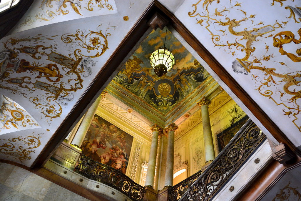 DSC_8795.jpg DSC_8795.jpg