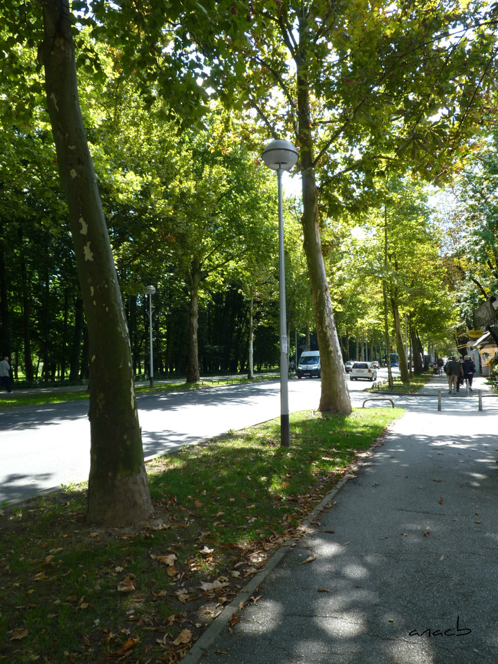 P1370921 cópia assin.jpg