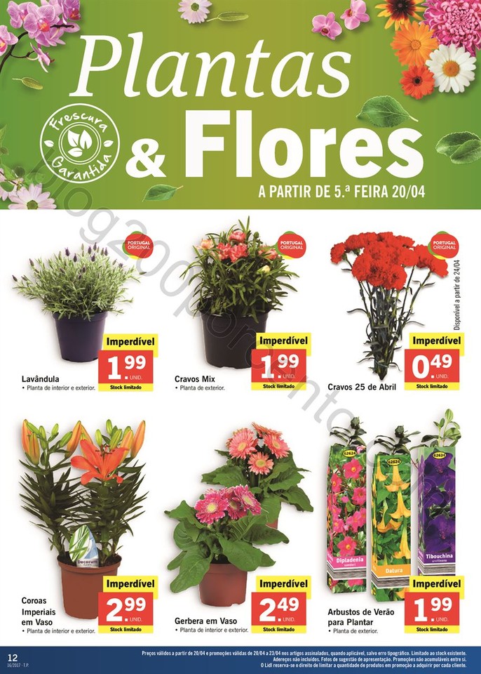 Promo_es_v_lidas_a_partir_de_20_04_2017_Mais_para_