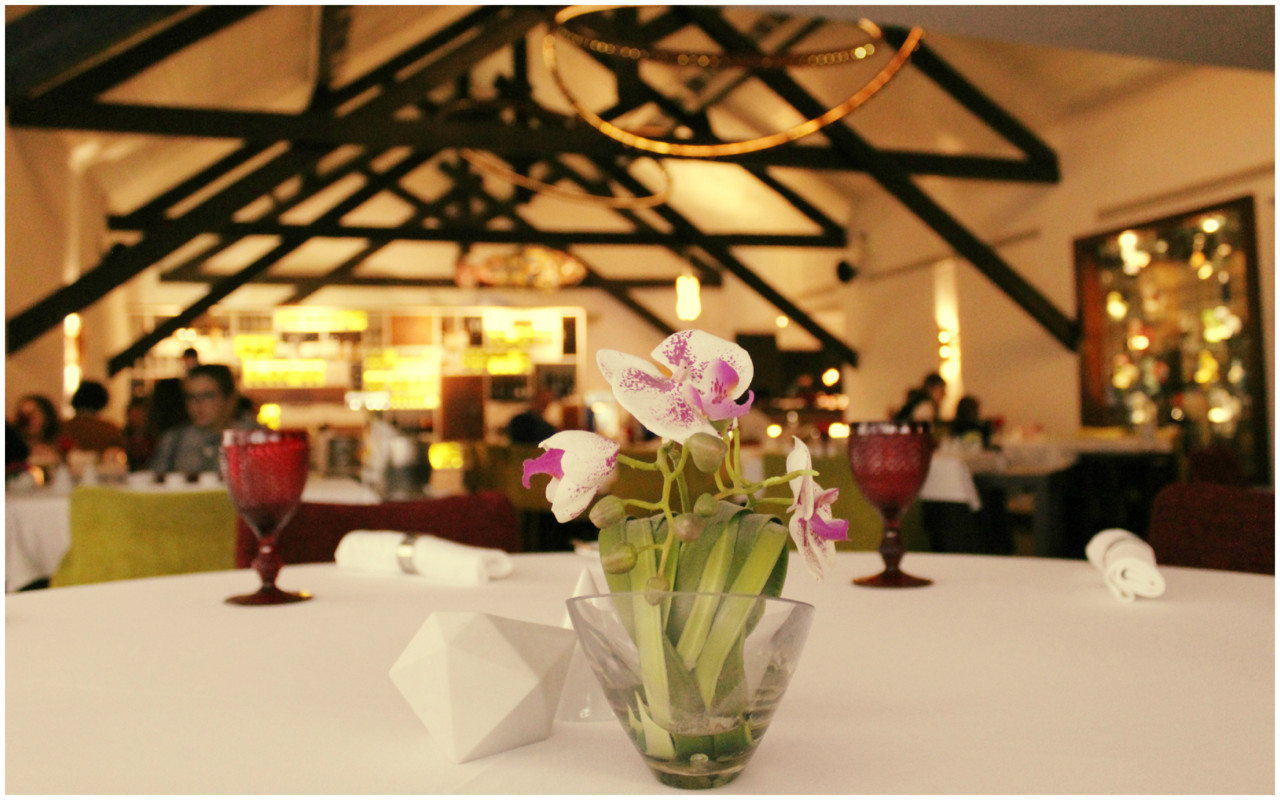 Sal Poente & Moliceiro