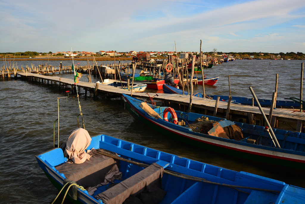 DSC_2926_01_00018.jpg DSC_2926_01_00018.jpg