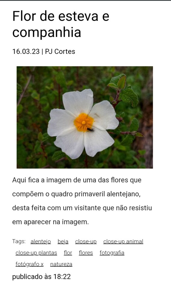 Screenshot_2023-03-17-01-46-53-173-edit_com.androi