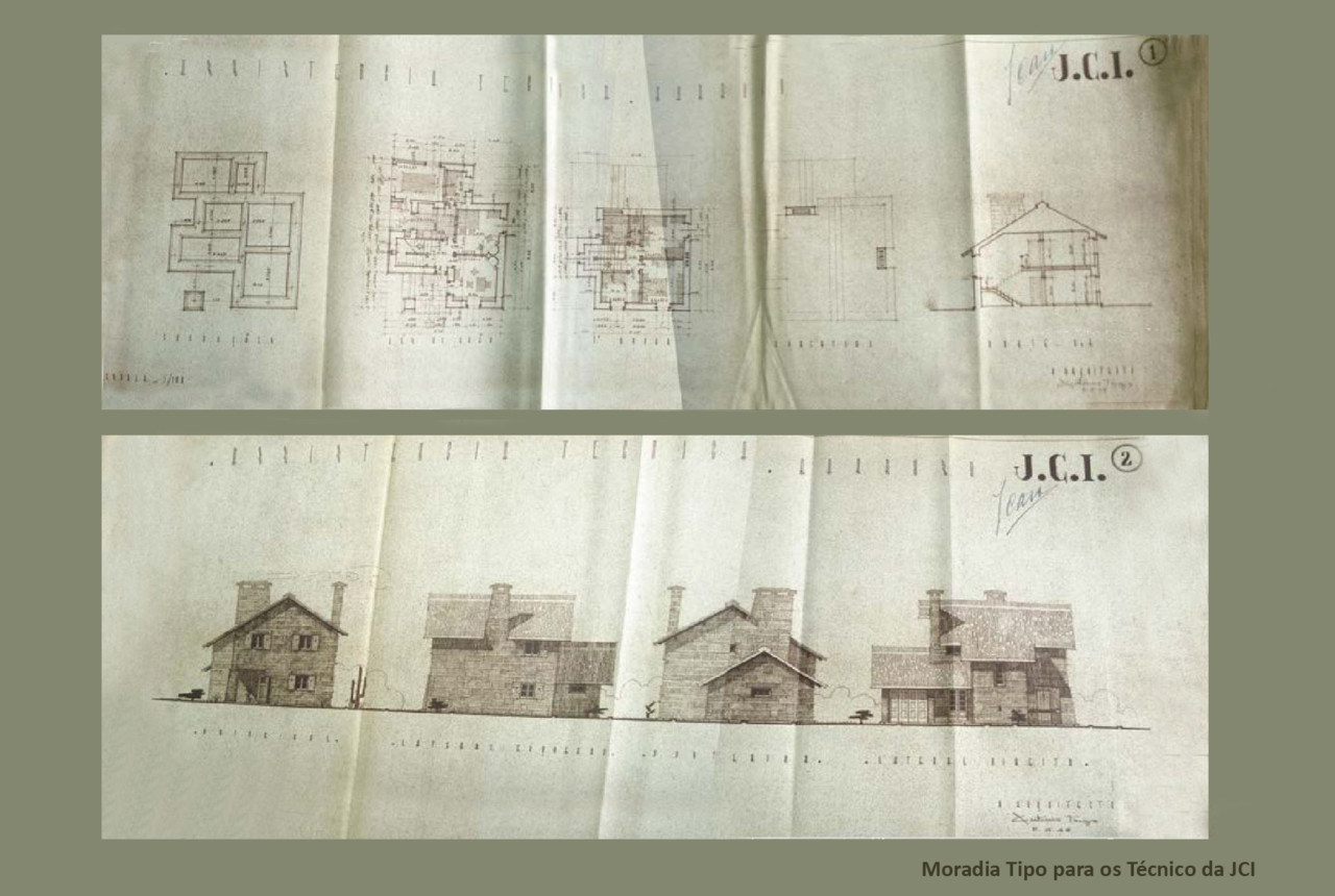 44 - figmoradia jci-costa.JPG 44 - figmoradia jci-costa.JPG